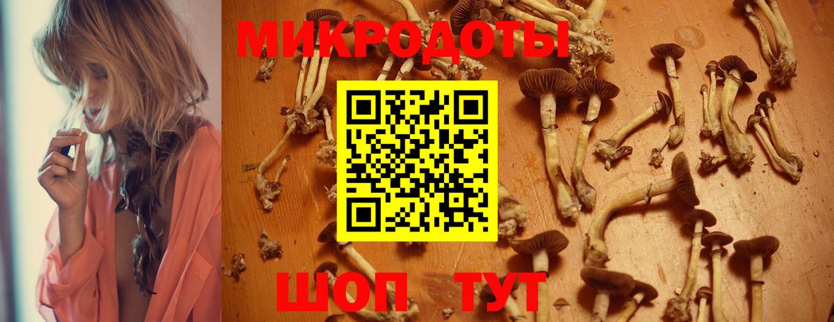 Касимов  Галлюциногенные грибы прущие грибы  Псилоцибиновые грибы мухоморы  Вход с VPN 